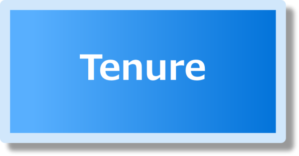 ボタン大_Tenure（Researchers Permanent）